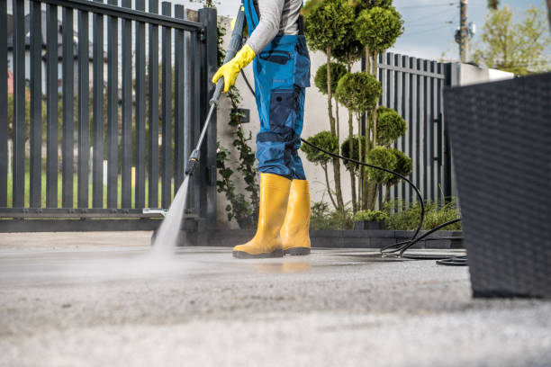 Best Driveway Pressure Washing  in Keego Harbor, MI